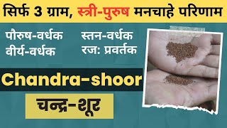 चंद्रशूर-हलीम के बीज के फायदे | Power Booster Seeds | JadiButi Store