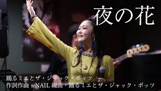 夜の花/踊るミエとザ・ジャック・ポッツ【楽曲提供】NAIL