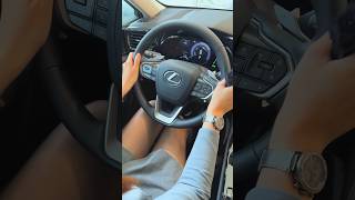 Lexus NX 250 #ASMR #LexusNX #Lexus #NX #NX250