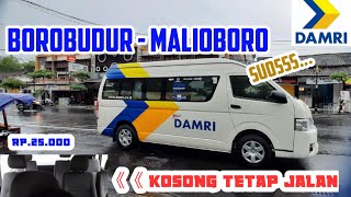 NEW DAMRI ‼️ BOROBUDUR - MALIOBORO NAIK HIACE SUOS || TARIF BERSAING.