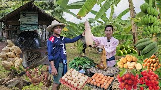 พื้นที่ 1 ไร่ไร้ความจน!! บริหารพื้นที่เป็นระบบ มีของกินนครบในพื้นที่น้อย