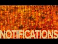 Parkland Music Project - NOTIFICATIONS