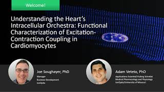 Functional Characterization of Excitation-Contraction Coupling in Cardiomyocytes