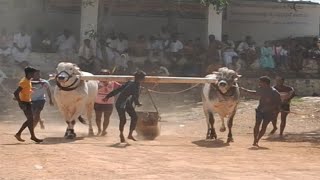 కొత్తకోట 6పళ్ళు 3place అబ్దుల్ బాషా..సాతార్ల.G.ఇట్టికాల్వ m గద్వాల్.D.5545.11అడుగులు