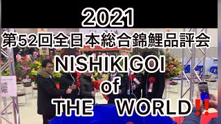 2021決定版‼️第52回全日本総合【錦鯉】品評会。全匹紹介😊