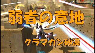 タクラマカン砂漠　「ド根性物語」「バランス調整について（機体面）」　戦術・戦略解説