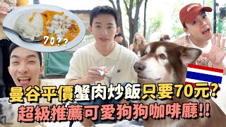 曼谷VLOG｜70元的蟹肉炒飯？泰國爆紅的奶油小熊見面會超貴XD狗狗咖啡廳很療癒😍