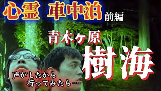 【心霊·車中泊】樹海の酷道で不気味な声が聞こえ捜索したら【山梨·青木ヶ原樹海】心霊スポット、ユーチューバー、YouTuber、人がいた、遭遇、霊能者、ドライブ、恐怖、怖い、映像、動画、番組、ロケ、幽霊