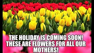 4K. Relaxing music .These are flowers for all our mothers!