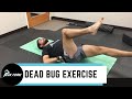 Low Back Pain Core Exercises | San Diego Chiropractic