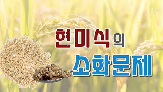 현미식의 소화문제