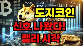 [도지코인 전망] 100만원을 20억으로 만들 절호의 기회!