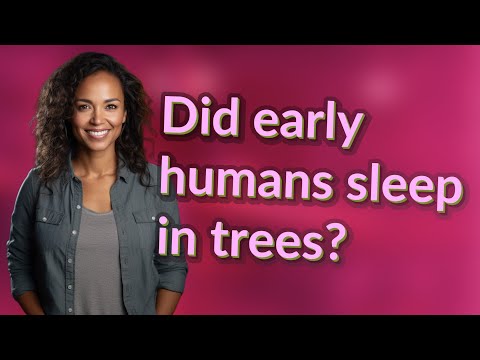 Did humans sleep in trees?