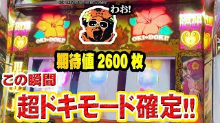 【新台】沖ドキ！GOLD打ったらマジでヤバかった【6.5号機】