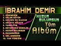 Albüm - İbrahim Demir / Huzur Bulursun Albümü / En Güzel İlahi Albümleri Serisi