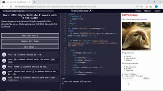 Basic CSS (4/44) | Style Multiple Elements with a CSS Class | freeCodeCamp