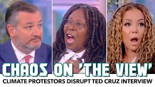 Chaos On ‘The View’ As Protesters End Ted Cruz Interview