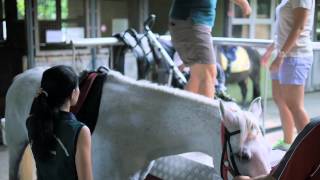 RDA Singapore- Volunteering at RDA