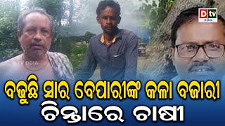 ବଢୁଛି ସାର ବେଵାରୀଙ୍କ କଳା ବଜାରୀ ଚିନ୍ତାରେ ଚାଷୀ |Odia news live updates #dtvodia