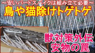 鳥や猫除けのトゲトゲ～組み立てが必要な安い害獣返しのバードスパイクは修行の内職～