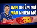 Gan Nhiễm Mỡ- Máu Nhiễm Mỡ