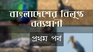 বাংলাদেশের বিলুপ্ত বন্যপ্রাণী, পর্ব-১ | Extinct Animals of Bangladesh, Episode-1