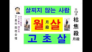 고초살 월살-천을귀인 도화살 괴강살 백호살 과 동행-정시의 사주명리112강 월살 편입니다. 천라지망 원진살 홍염살 의미를 실감합니다..