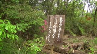 龍馬散歩道→和気公園藤の花②　20130420　塩浸入り口から和気公園へ