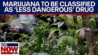 BREAKING: Marijuana to be reclassified as 'less dangerous' drug by DEA | LiveNOW from FOX
