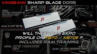 KingBank Sharp Blade DDR5