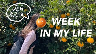 [휴식기를 가진 직장인 Vlog] 6년차 직장인의 솔직뻔뻔당당 진로 찾기ㅣ리프레시 in jeju 🌴 l 흔들리는 뱅기속에서 내 결항이 느껴진거야ㅣUDA, 카페진정성