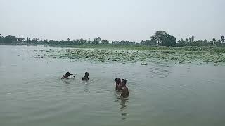 chittaura jheel bahraich