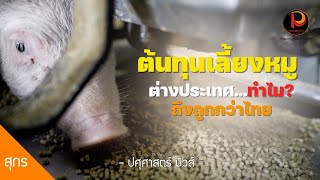 ทำไมต้นทุน #เลี้ยงหมู ต่างประเทศถึงถูกกว่าไทย | ปศุศาสตร์ นิวส์