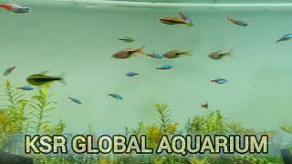 KSR Global Aquarium | Part 2 | School Trip | Vidya Mandir Pushpanagar