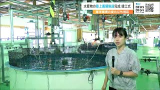 「地球温暖化などで変わる海洋環境」陸上で魚などを養殖できる施設完成　安定した水産資源確保へ　宮城・石巻市