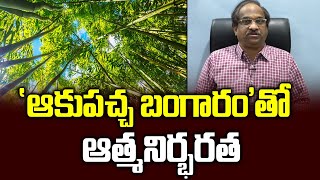 'ఆకుపచ్చ బంగారం'తో  ఆత్మనిర్భరత || World Bamboo Day: Transforming Environment, Economy and Ecology||