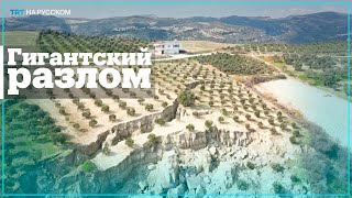В Хатае землетрясение разорвало оливковый сад на части