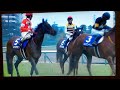 【中央競馬】高松宮記念　セイウンコウセイ　2017 3 26