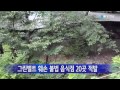 서울 그린벨트 훼손 불법음식점 20곳 적발 ytn