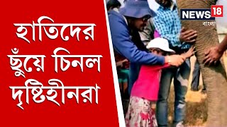 দৃষ্টিহীনদের জন‍্য নেচার ক‍্যাম্প,হাতিদের ছুঁয়ে চিনল দৃষ্টিহীনরা ।