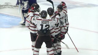 Brown vs Stonehill: Men's Ice Hockey Highlights