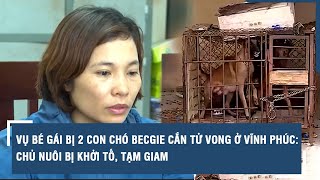 Vụ bé gái bị 2 con chó becgie cắn tử vong ở Vĩnh Phúc: Chủ nuôi bị khởi tố, tạm giam