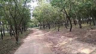 भारत में गाँव और सड़कें | Village Tour, Chinpai, Birbhum, West Bengal | Bakreswar Dam | 2018