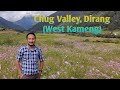 Chug Valley, Dirang(west kameng) || Cosmos Flower || Picturesque place