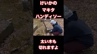 【マキタ】ハンディソーで太い木も切れる❗️