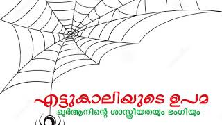 എട്ടുകാലിയുടെ ഉപമ : ഖുർആനിന്റെ ശാസ്ത്രീയതയും ഭംഗിയും ! (Spider's Web in Quran)-Malayalam