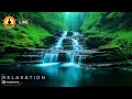 🔴 Calming Music for Depressive States 24/7, Stress and Anxiety Relief Music, Meditation Music, Zen