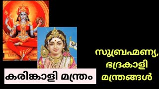 ഇന്ന് ചൊവ്വാഴ്ച .  ഇന്ന് മറക്കാതെ ജപിക്കണേ. ശക്തിയേറിയ ചെറിയ ഭദ്രകാളി മന്ത്രങ്ങൾ🙏🏻