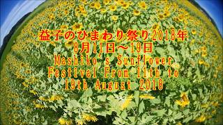 益子のひまわり祭り2018年8月18日 Mashiko's Sunflower Festival August 18, 2018