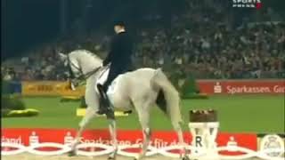 The WEG2006 Freestyle Dressage Final performance of ANDREAS HELGSTRAND on BLUE HORS MATINE